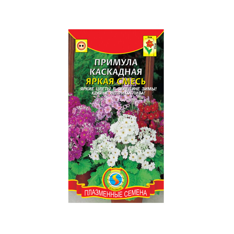 Цв.Примула Яркая смесь (Плазма)