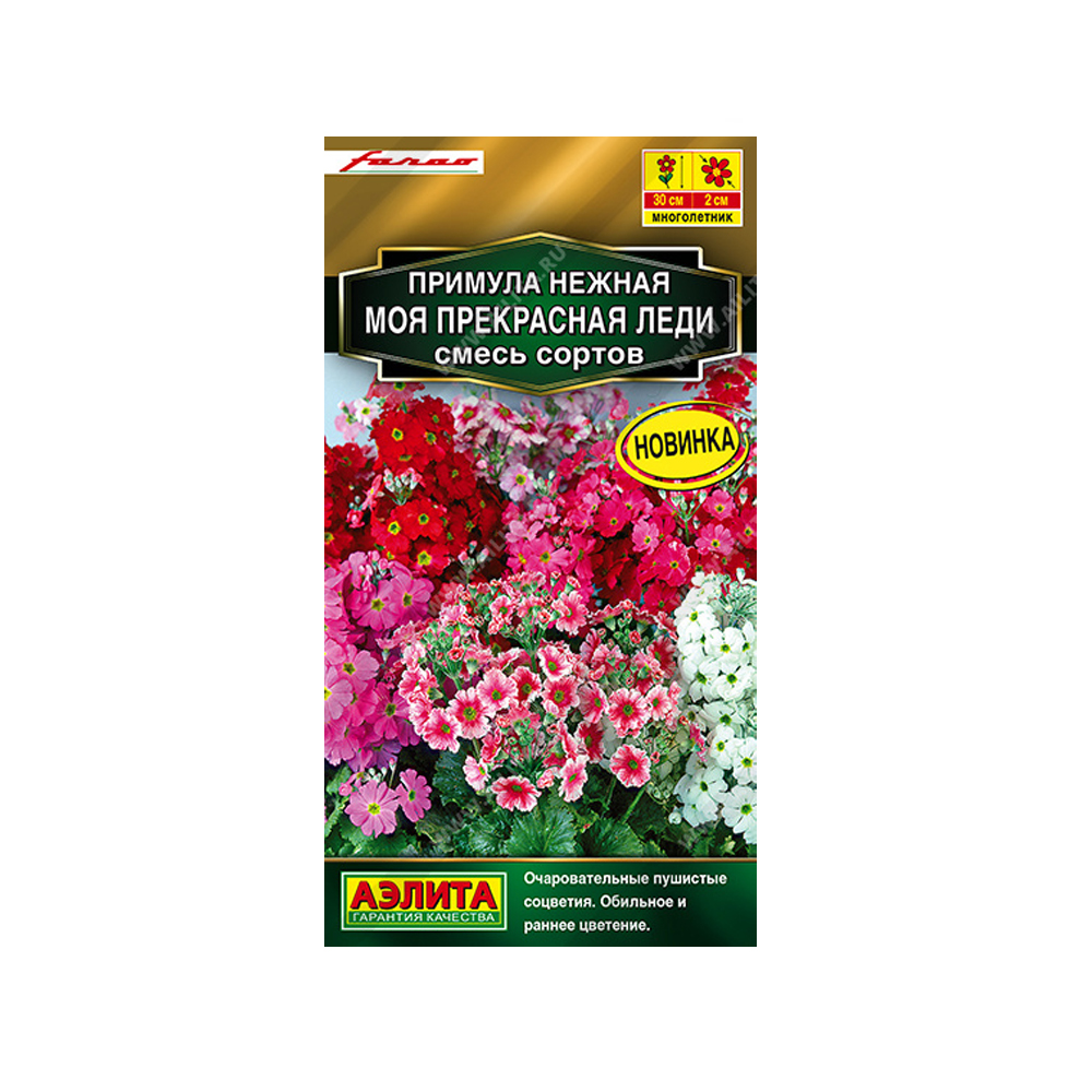 Примула Моя прекрасная леди (Аэлита) 7шт