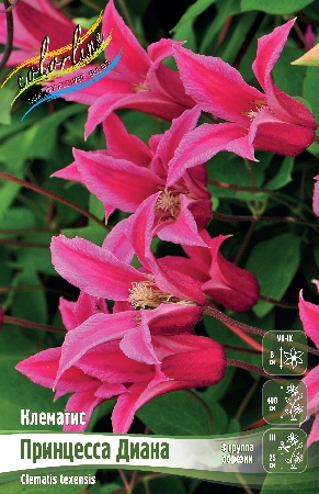 ПРИНЦЕССА ДИАНА27365475408c7336