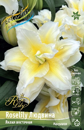 Роселили Людвина