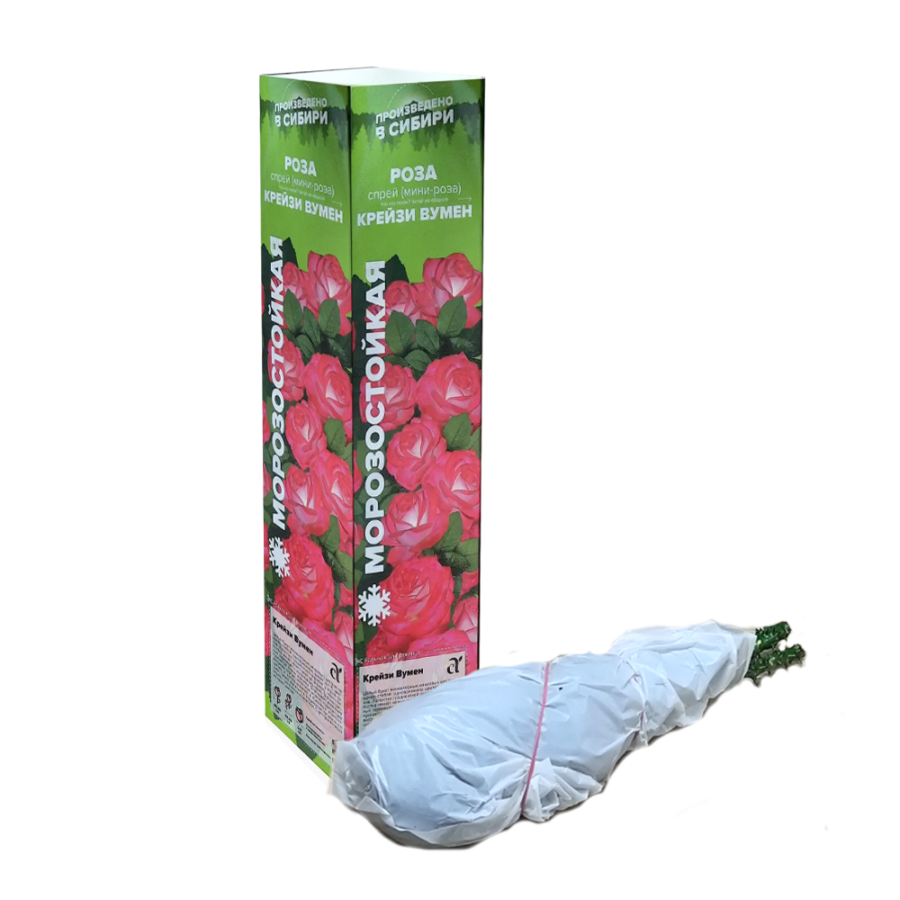 Роза Крейзи Вумен (Сем Алтая)