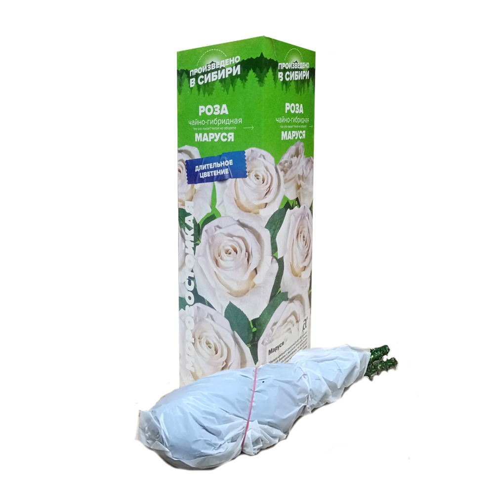 Роза Маруся (Сем Алтая)