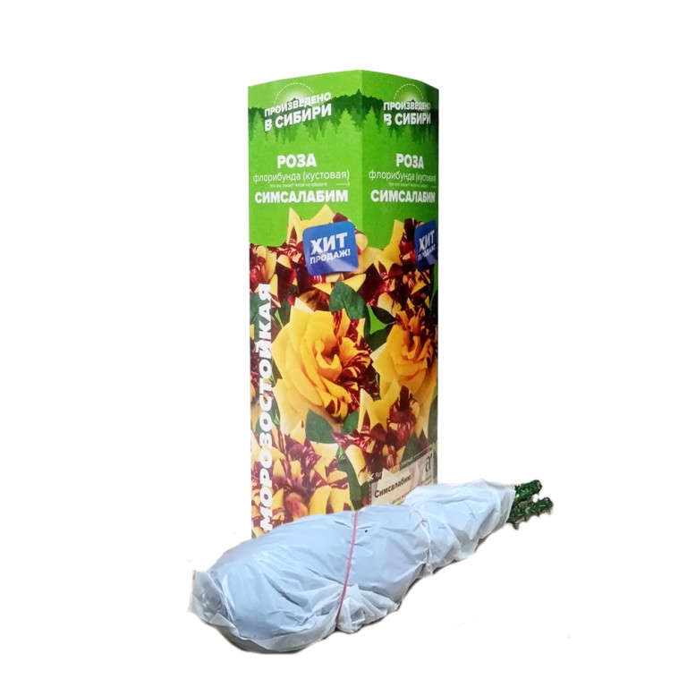 Роза Симсалабим(Сем.Алтая)