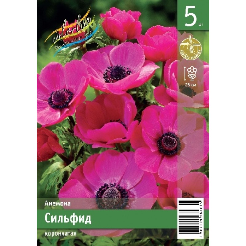Анемоны Сильфид 5/6 (ИС) 5 эконом