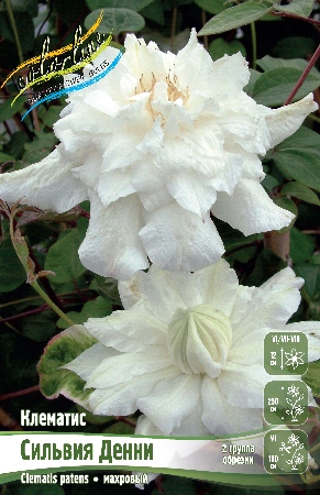 СИЛЬВИЯ ДЕННИ1265475414c76c5