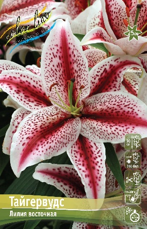 Тайгервудз