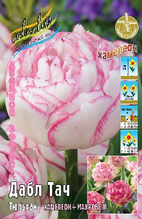 тюльпан дабл тач ис