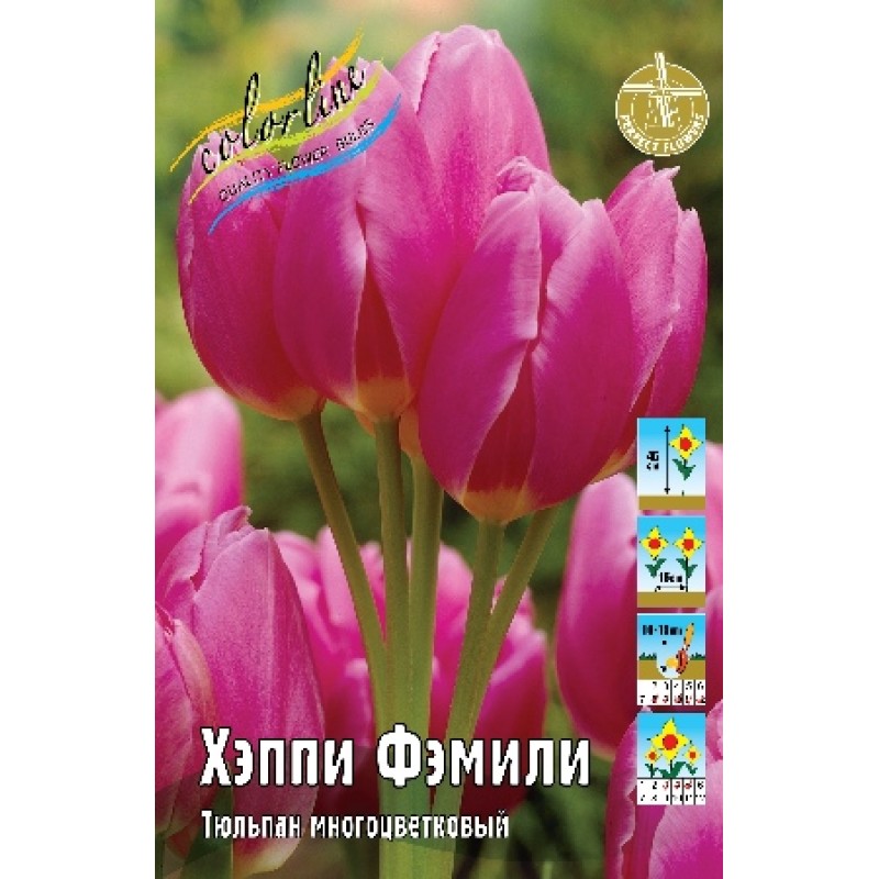 Тюльпан Хэппи Фэмили 11/12 (ИС) 8