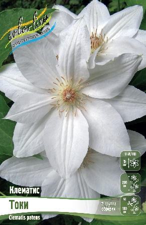 токи 3b465475418d8f06