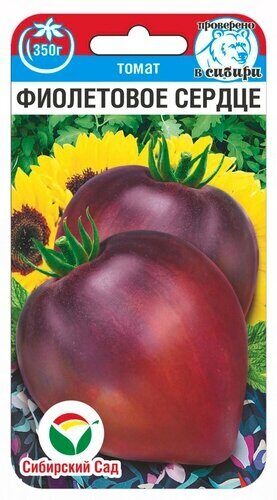 томат фиолет сердце сс