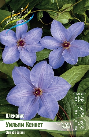 УИЛЬЯМ КЕННЕТ500x500.1aa65475434c6d6e