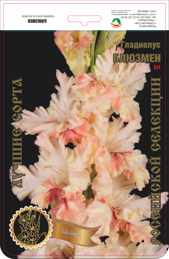 v1u7z9t7wztghppd1knzi2lsw30xln8z