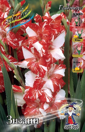 vbuu75f2adcbxx60et4ae6ib1b7nw6li