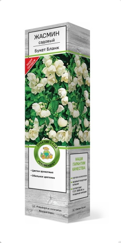 Жасмин букет бланк