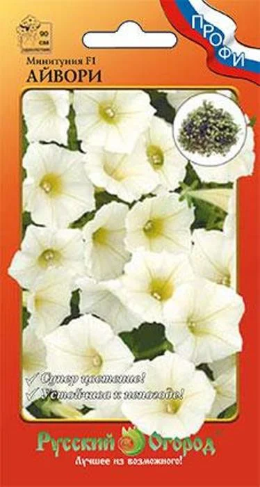 Петуния - Минитуния айвори (нк)