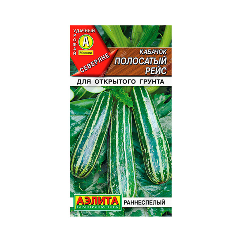 Кабачок Полосатый рейс (Аэлита)