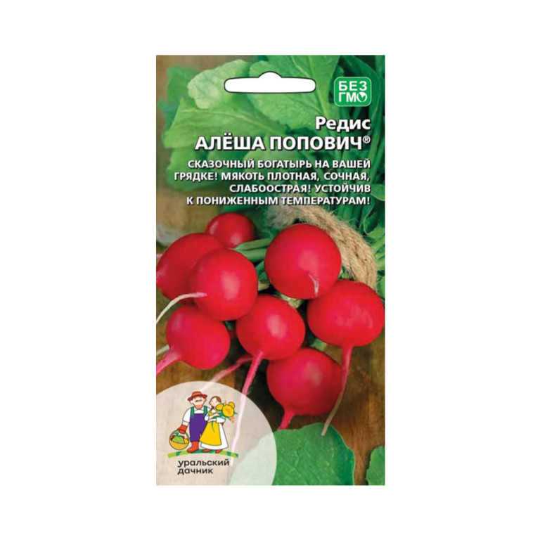 Редис Алеша Попович (УД)