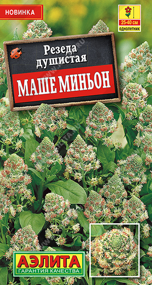 Цв.Резеда Маше миньон (Аэлита)