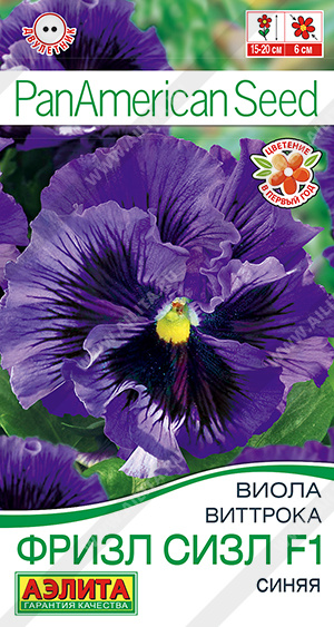 Виола - Фризл сизл синяя (аэлита)