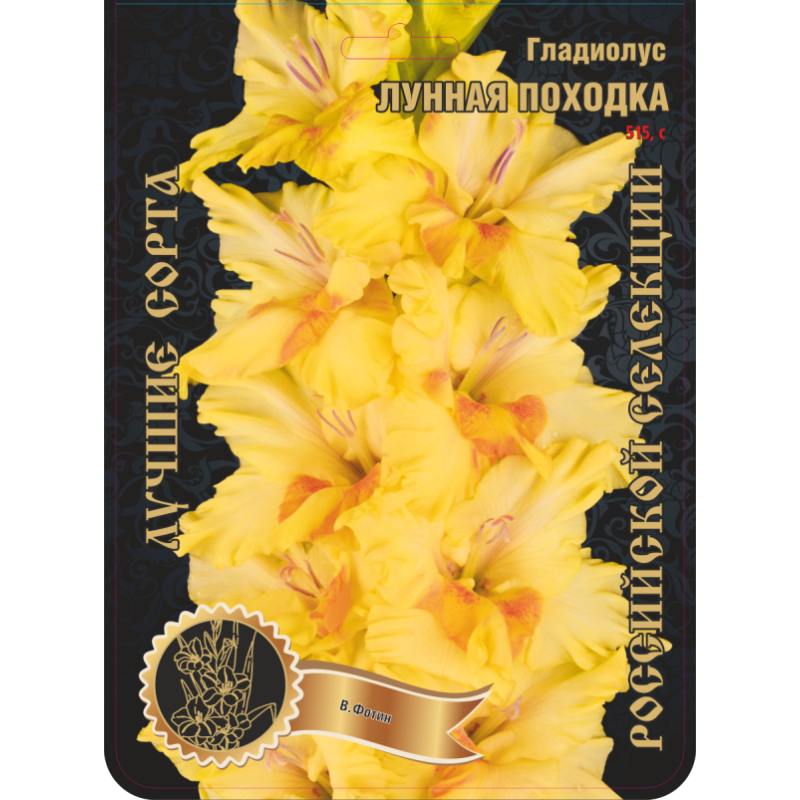 Гладиолус Лунная походка (Сиб.сад) 7/2р-р