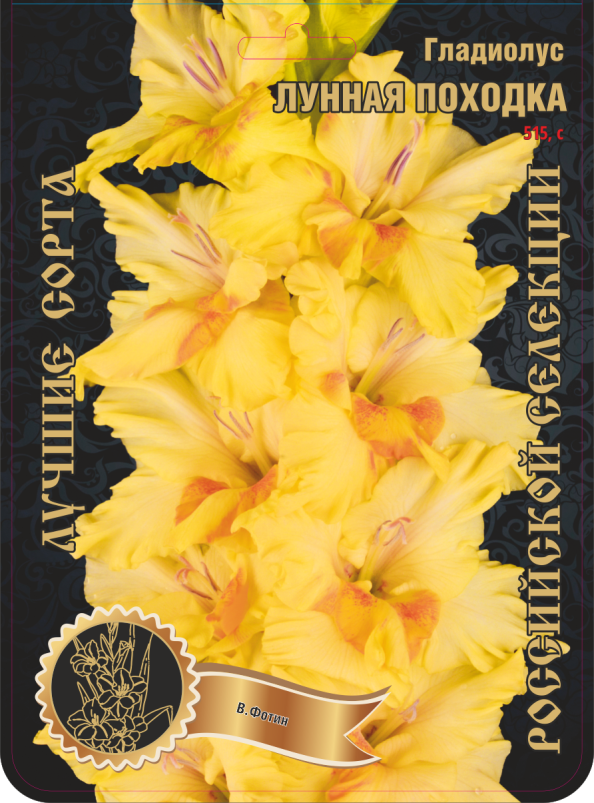 g5crzlr56d0hxaok1kugayhj52z77w8g