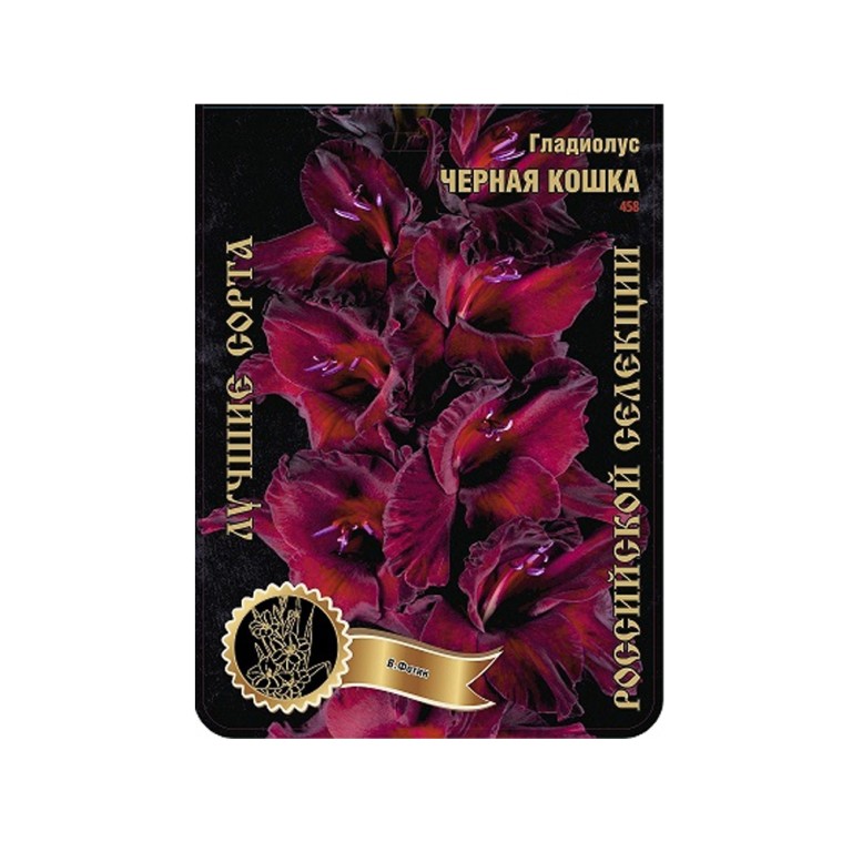 Гладиолус Черная кошка (Сиб.сад) 7/1р-р