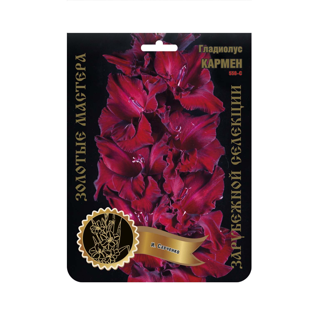 Гладиолус Кармен (Сиб сад)