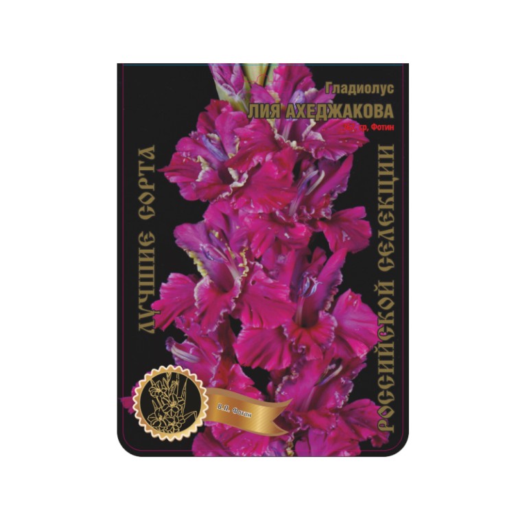 Гладиолус Лия Ахеджакова (Сиб.сад) 7/1р-р
