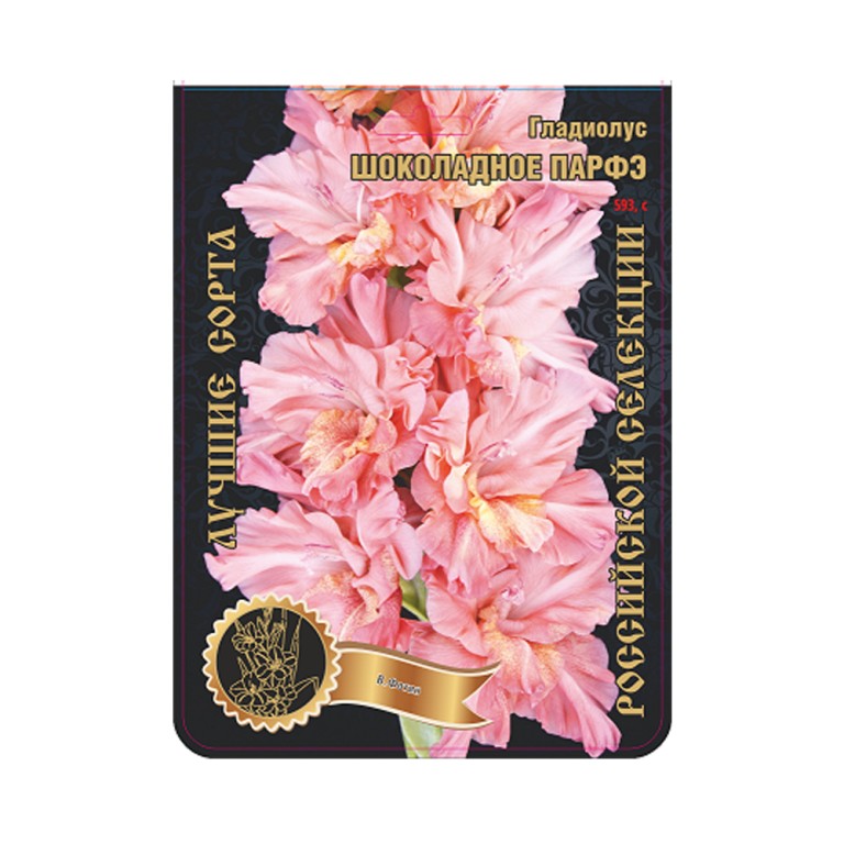Гладиолус Шоколадное парфэ (Сиб.сад) 7 /1кат