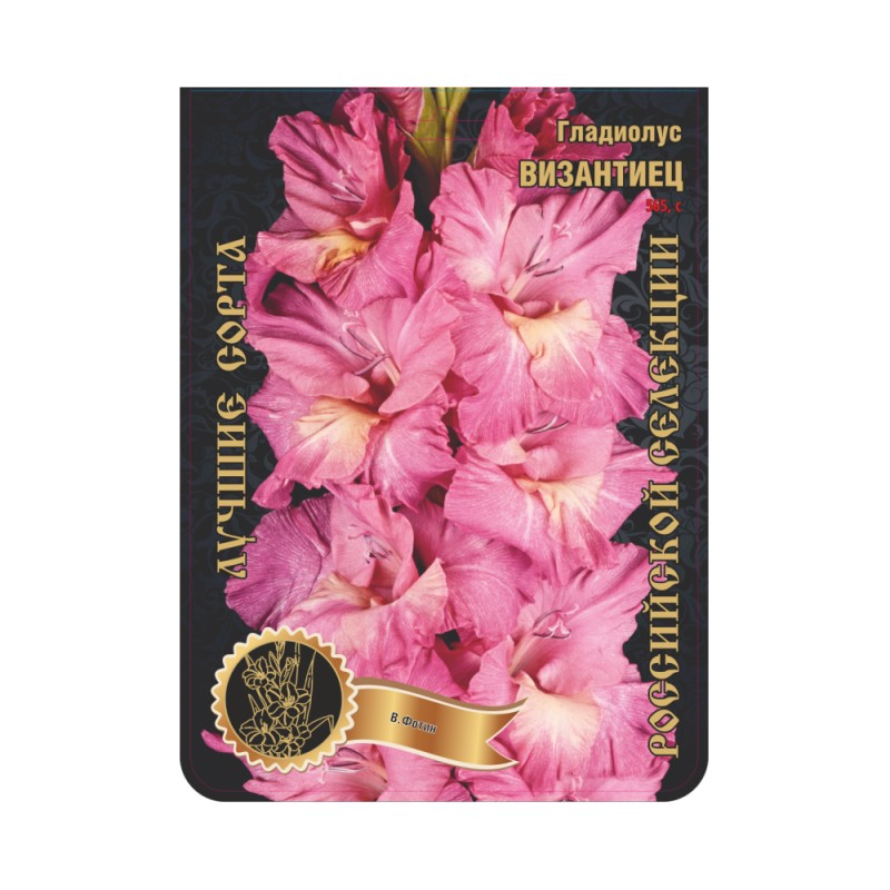 Гладиолус Византиец (Сиб.сад) 7 / 2р-р