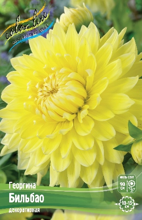 136s4x21x0hyjv8zywiici861fiwr9t2