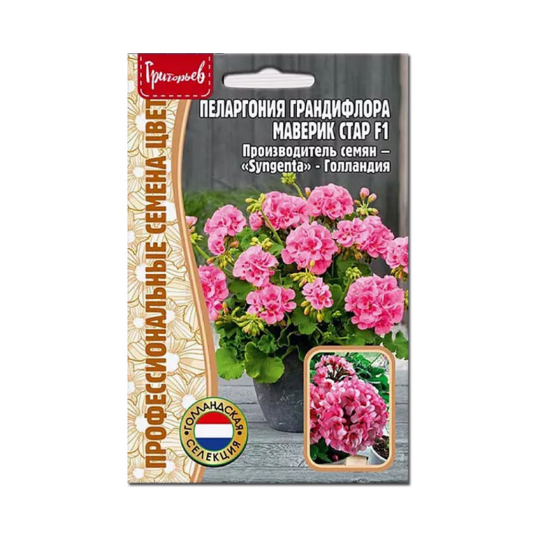 Цв.Пеларгония Маверик стар F1 (Григорьев) 3шт