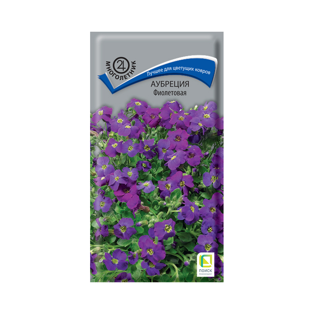 ЦвАубреция фиолетовая (Поиск) 01г