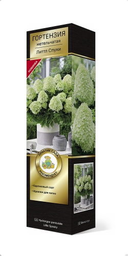 Литтл спуки