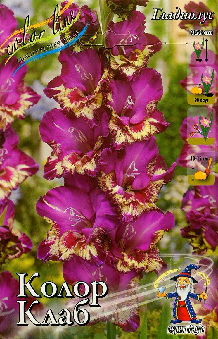 ooarbsm7ywsaax35jhb5p5y064e5zryz