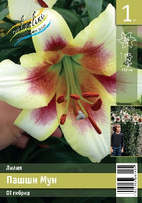 Пашн мун эконом