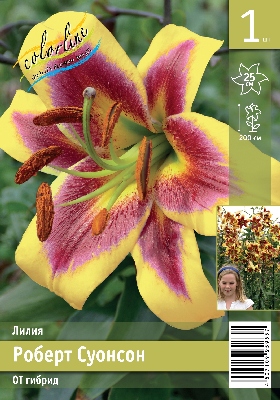 Роберт суонсон эконом