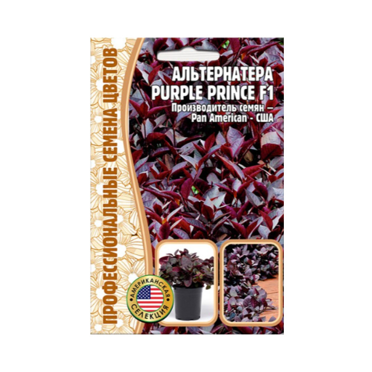 Цв.Альтернатера Purpl prince F1 (Григорьев) 3шт