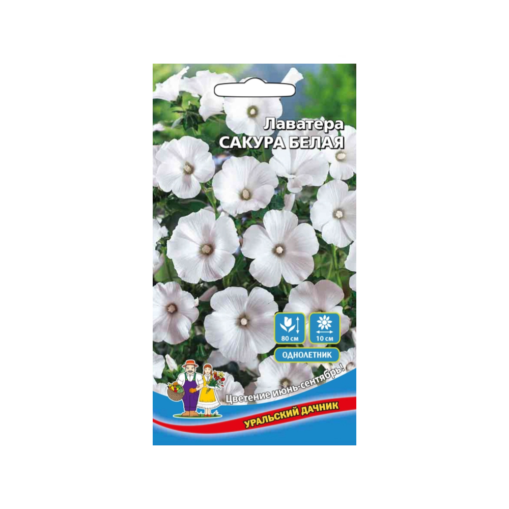 Цв Лаватера Сакура белая (УД)