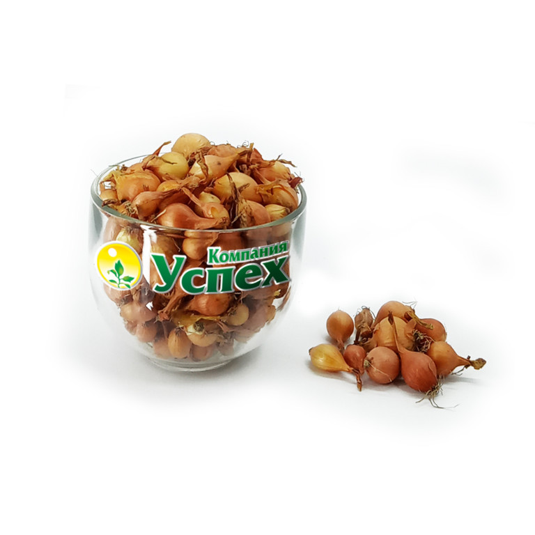 Лук севок Дедуля 9/21 (Россия) ~10кг (ВХ)