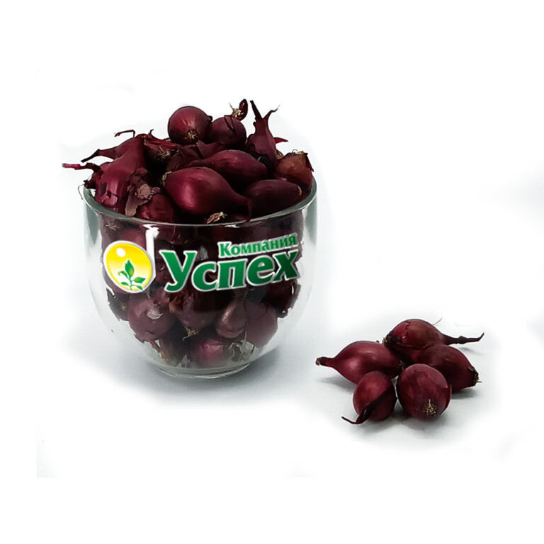 Лук севок Кармен 14/21 (Россия) ~10кг (TOP)