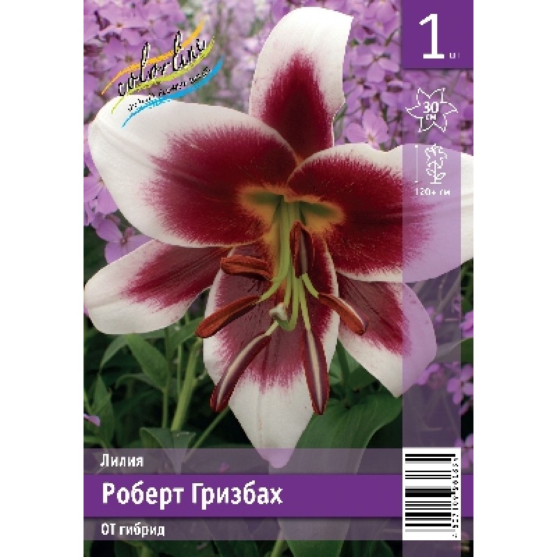 Лилии Роберт Грисбах (ИС) эконом