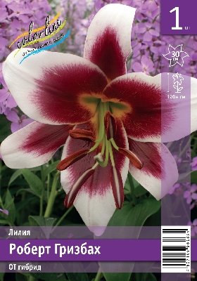 Роберт грисбах эконом