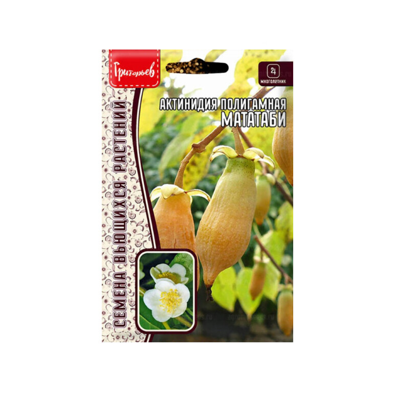 Цв.Актинидия Мататаби (Григорьев) 20шт полигамная