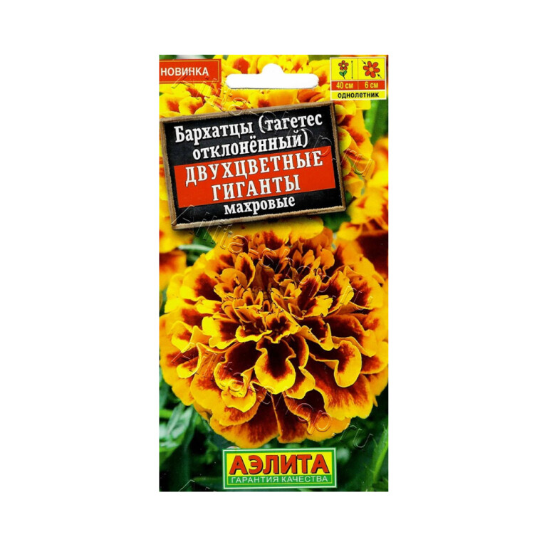 Цв.Бархатцы Двухцветные гиганты (Аэлита) 0,3г