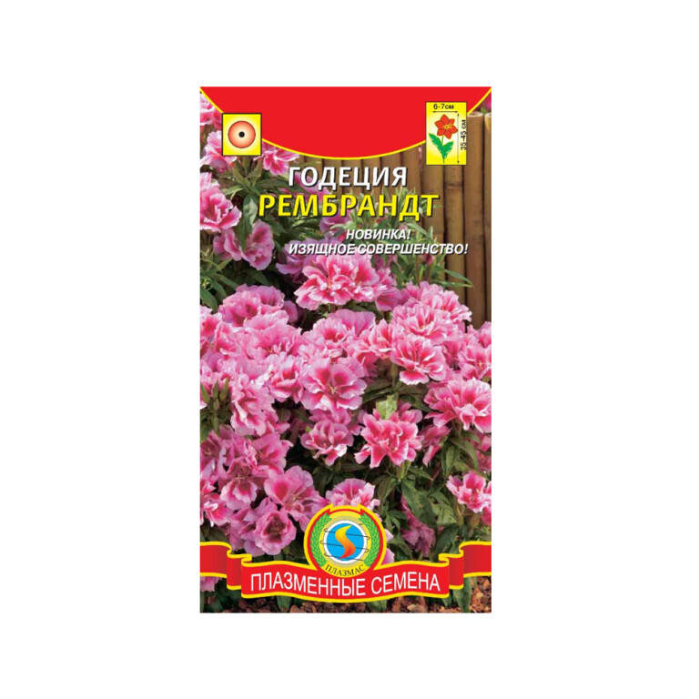 Цв.Годеция Рембрандт смесь (Плазма)