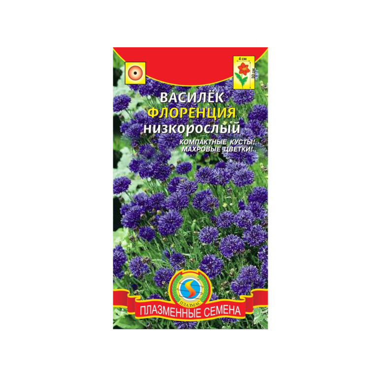 Цв.Василек Флоренция см.(Плазма)