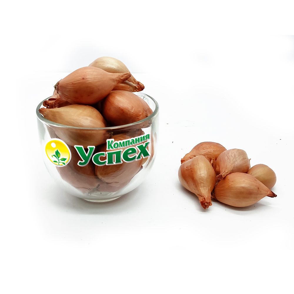 Лук Шалот Желтый (Россия) 10кг