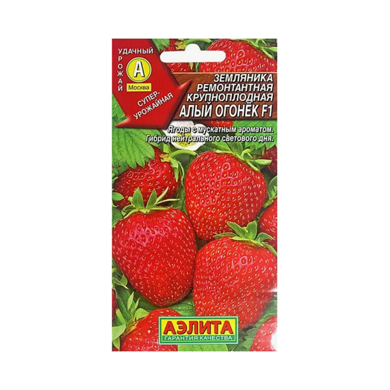 Земляника Алый огонек F1 (Аэлита) ремонтантн. крупноплодная