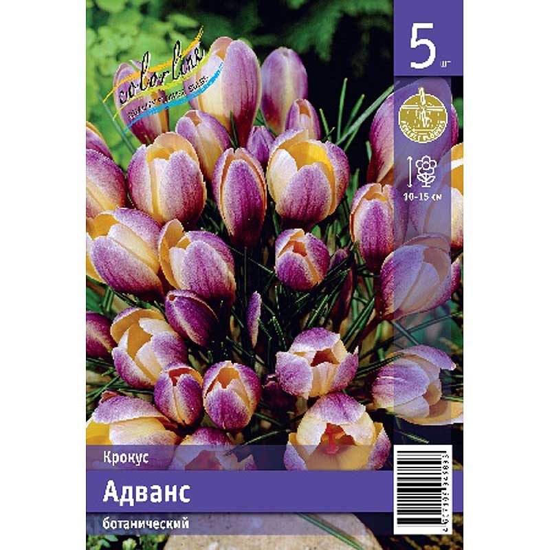 Адванс